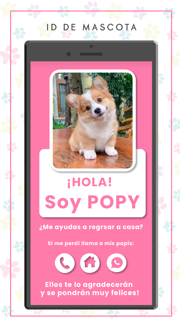 ID-DE-MASCOTA.jpg